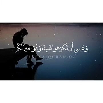 تلاوة رائعة __ و عسى أن تكرهوا شيئاً و هو خير لكم __حالات واتس قرأن __ Quran Sta