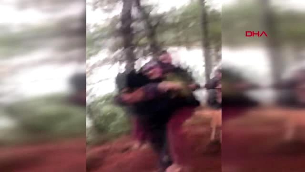 Antalya zeytin toplarken kaybolan şerife nineyi jandarma buldu