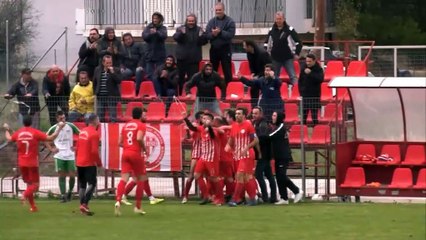 Αμβρυσσέας Διστόμου-Παναλίαρτος 1-0