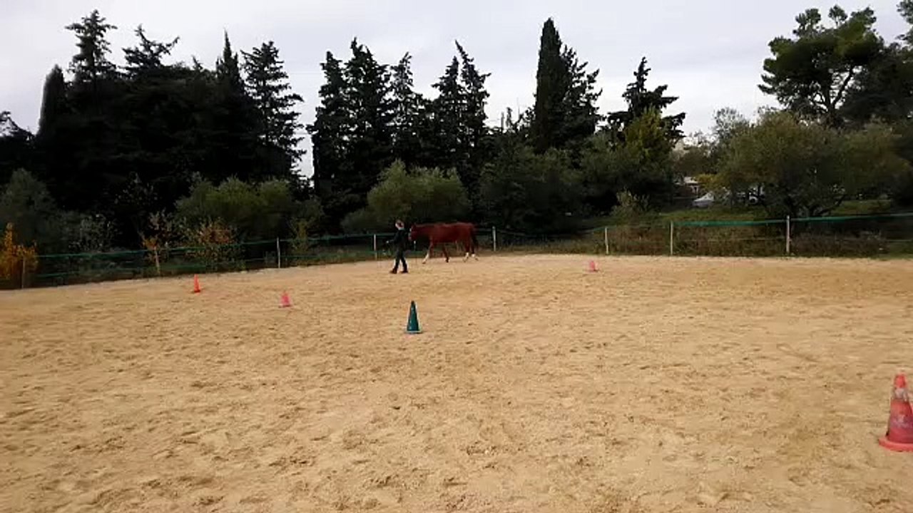 defi 3 la vague