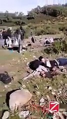 فيديو لانقلاب الحافلة السياحية بتونس بعد سقوطها بمنحدر ووفاة وإصابة 43 شخصا