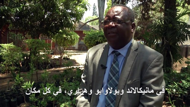 غابات زيمبابوي ضحية الأزمة الاقتصادية وانقطاع الكهرباء