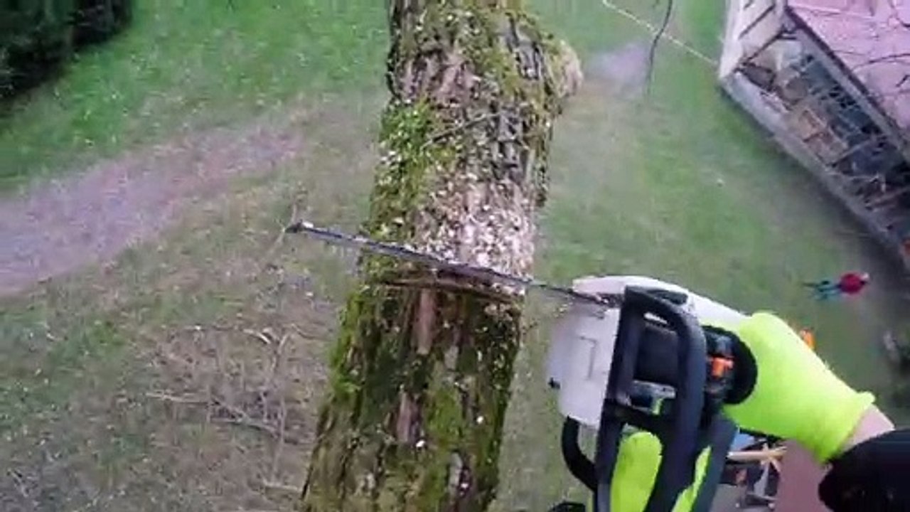 Pitch, Drive Links & Gauge in chainsaw?