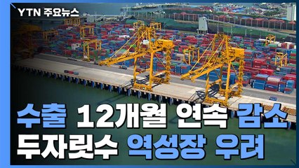 12개월 연속 수출 '마이너스'...역성장 우려 / YTN