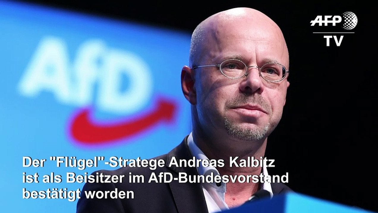 AfD-'Flügel'-Stratege Kalbitz als Beisitzer im Bundesvorstand bestätigt