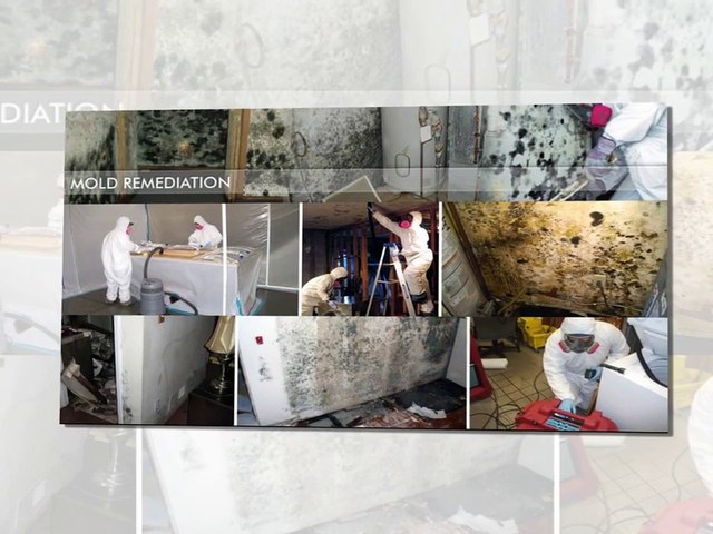 Water Damage Restoration in Houston | Lone Star Pro Services