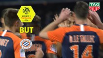 But Damien LE TALLEC (14ème) / Montpellier Hérault SC - Amiens SC - (4-2) - (MHSC-ASC) / 2019-20