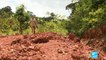 En Guyane, l'extraction d'or accusée de participer à la destruction de l'Amazonie