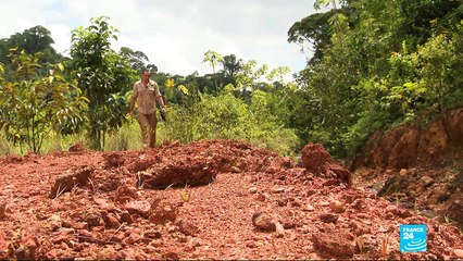 En Guyane, l'extraction d'or accusée de participer à la destruction de l'Amazonie