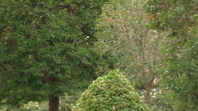 La detección tardía, principal preocupación en el Día Mundial de la lucha contra el SIDA