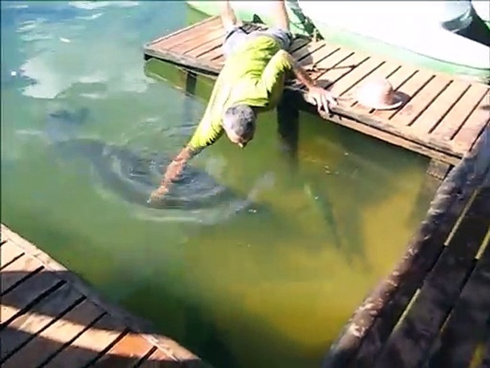 Il attrape un énorme poisson à la main... Pirarucu géant