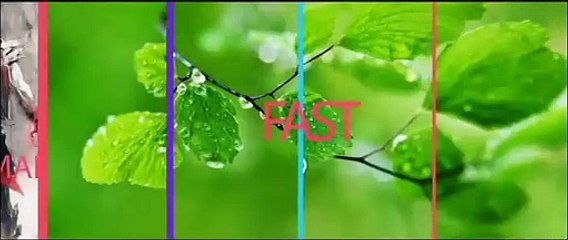 Adobe After Effects Template  Elastic Opener Typography