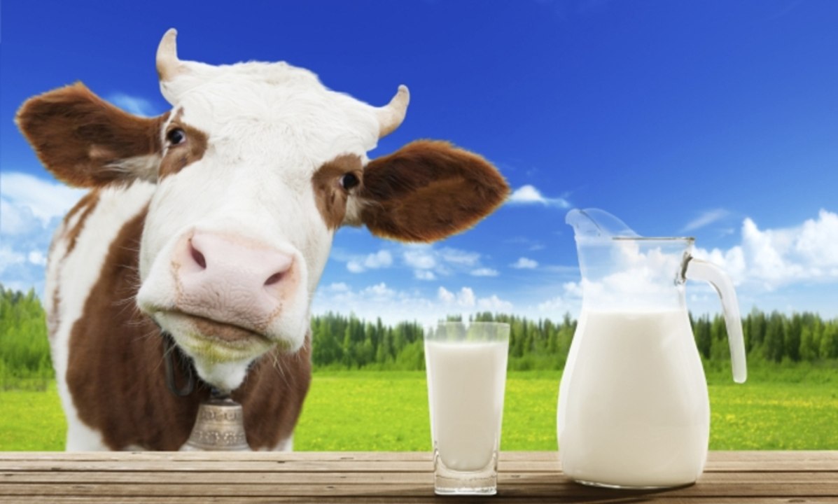 Tutorial: La economia es la leche