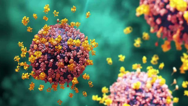 Identifican proteína que podría prevenir y tratar la metástasis del Cáncer