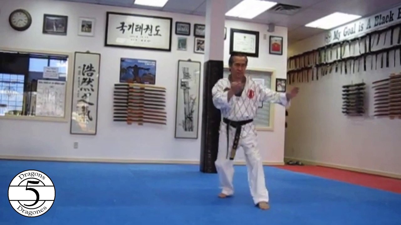 Taekwondo Poomsae Taegeuk 6 Jang