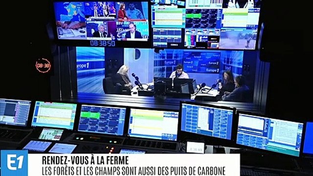 CO2 : la grande capacité de stockage des forêts et des champs