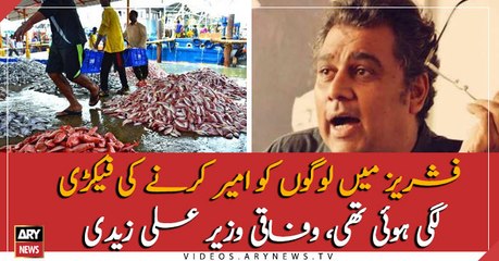 Federal Minister Ali Zaidi's media briefing