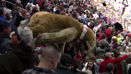 Record 45,000 teddy bears rain down on hockey game