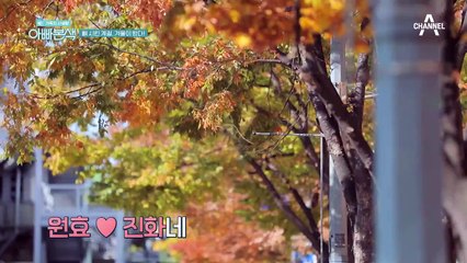 겨울이 왔다! 원효♥진화네 월동준비 끝!