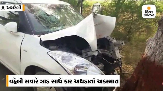 અમરેલીના નાના ભંડારીયામાં કાર વૃક્ષ સાથે ધડાકાભેર અથડાતા 8 માસના દીકરા સહિત પતિ-પત્નીના મોત