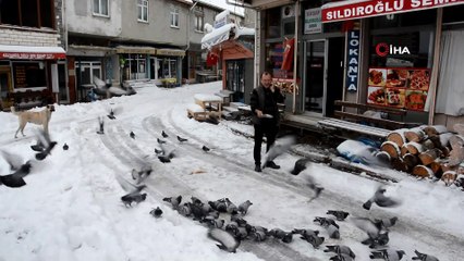 Ordu kar kalınlığı 25 santimetreyi buldu