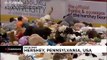 Hockey game becomes bear pit as 45,000 teddy bears hit the ice in new world record