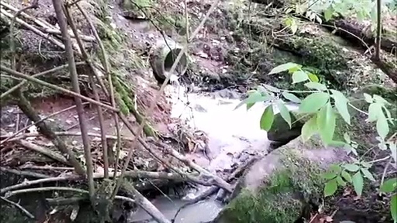 Dabo : les effluents de fosses septiques de La Hoube coulent en forêt