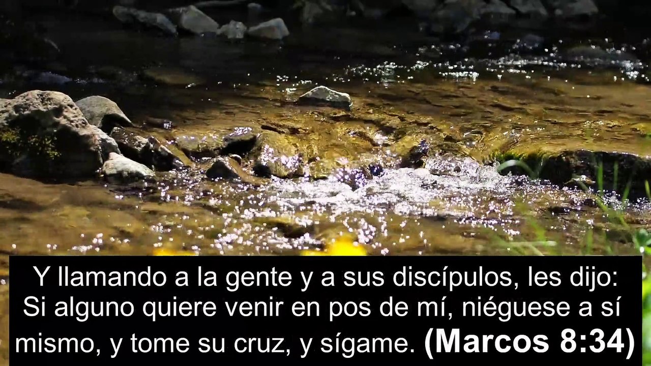 Versículos Bíblicos sobre la Crucifixión