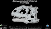 One Of The Last Dinosaurs To Walk Earth Replaced Its Teeth As Fast As Sharks