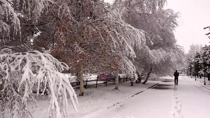 Kar yağınca kış cenneti Erzurum'da kartpostallık görüntüler oluştu