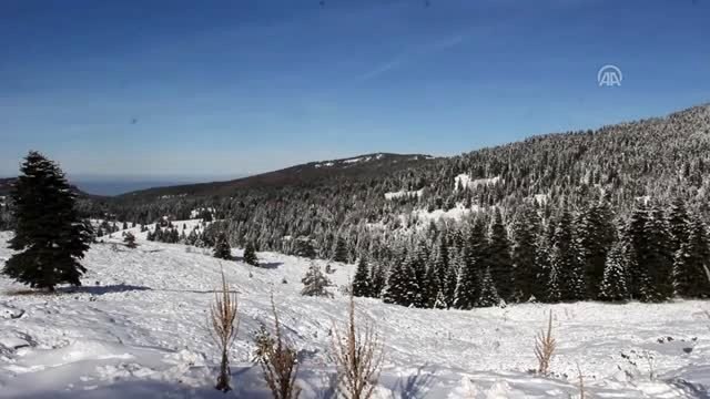Uludağ'da yürüyüş yaparken kaybolan iki arkadaş aranıyor
