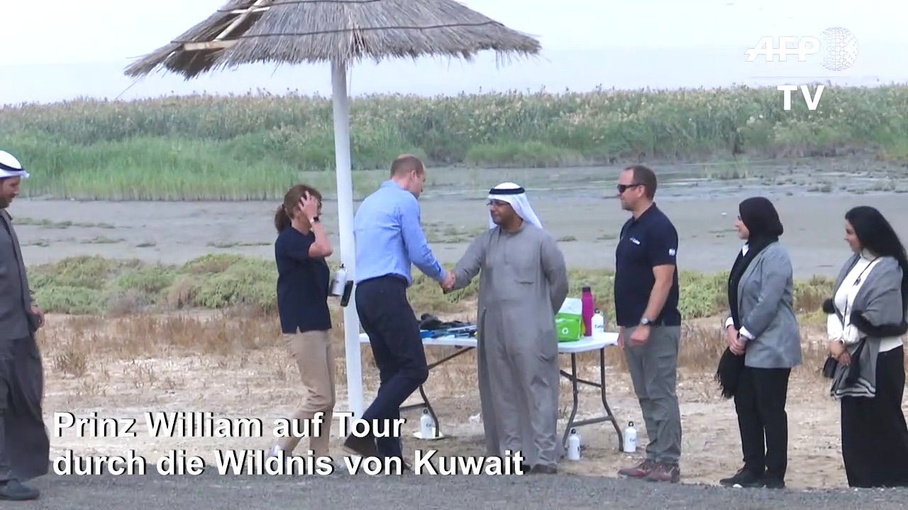 Prinz William in Kuwaits Wildnis