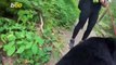 This Adorable Pup Invites Us To See Things From Her Point Of View