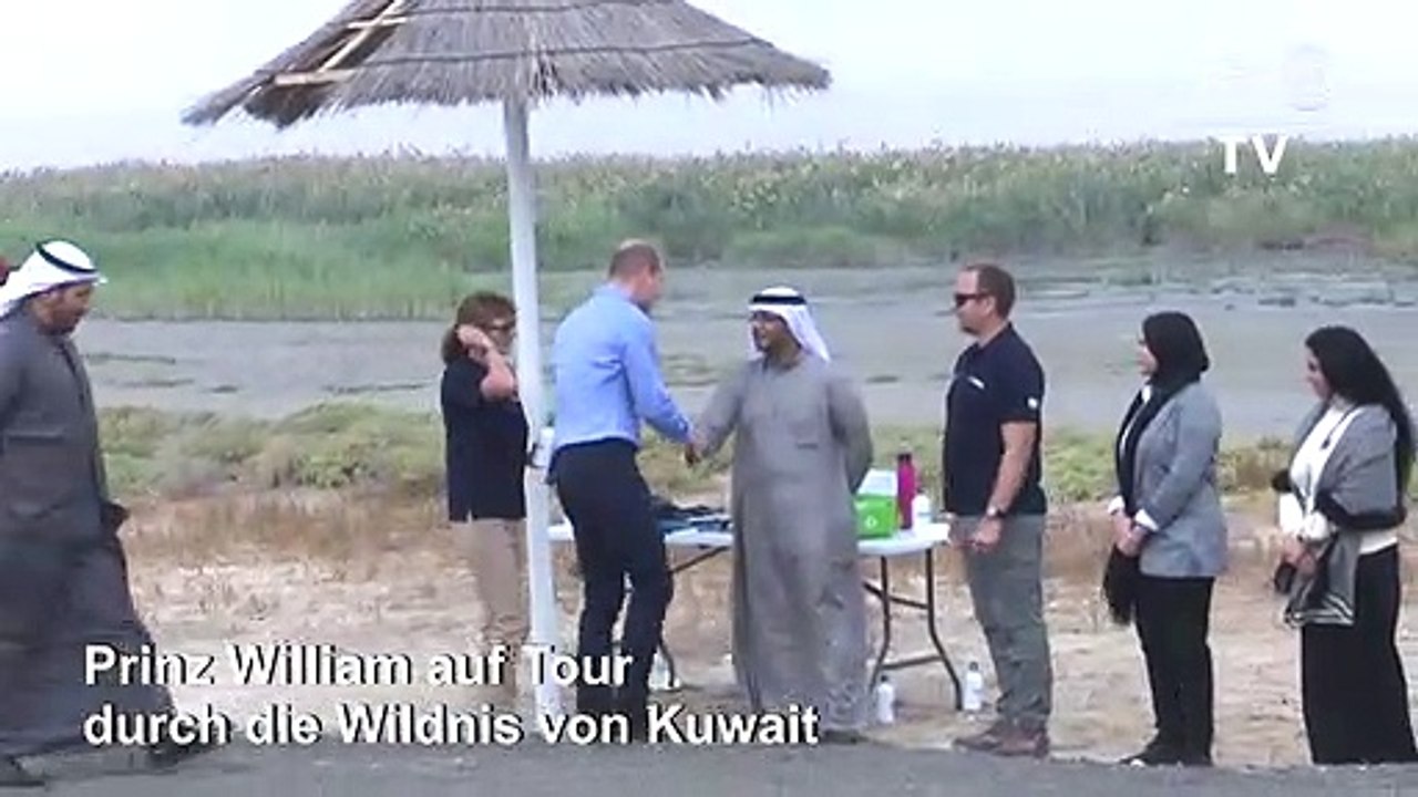 Prinz William in Kuwaits Wildnis
