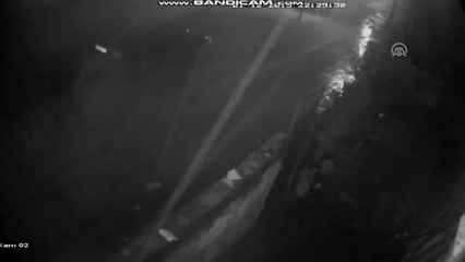 Çaldığı koyunu kesip etini poşetlere koymuş