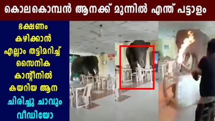 viral video of elephant's entry to army canteen | Oneindia Malayalam