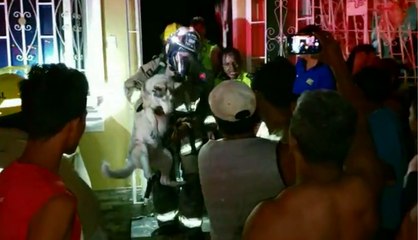 Pareja de esposos asfixiados por incedio registrado en su vivivenda al sur de Guayaquil
