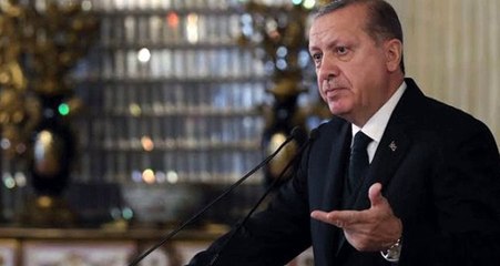 Son Dakika: Erdoğan, santral bacalarına filtre takılmasını erteleyen düzenlemeyi reddetti