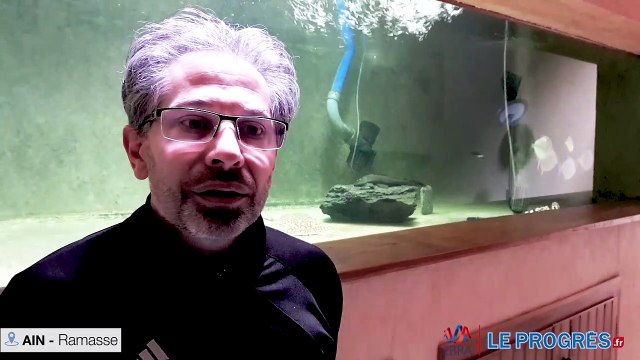 Thierry Gallinica, aquaculteur, pourquoi ce projet de carrière menace son activité