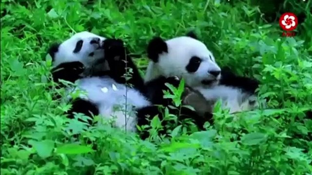 Hong Kong International TV - Promos and up next bumpers (21, 23/5/2019)