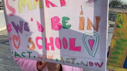 Senedd Climate Change Protests!