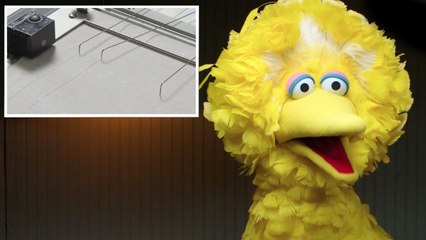 Big Bird Takes a Lie Detector Test