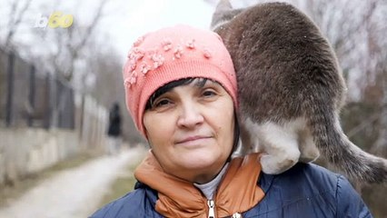 Winter Cat Care Tips From The Experts