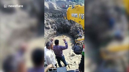 Crocodile trapped in 45-foot-deep pit lifted out with winch after 17 hours in north India