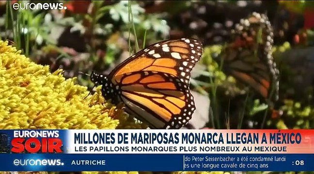 #euroviews : le zapping des rédactions d'euronews