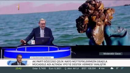 Kaçak midyede büyük tehlike