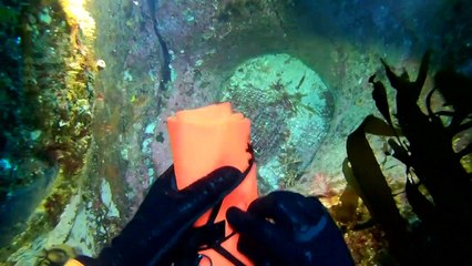 O fantasma dos mares