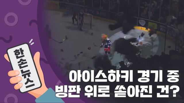 [15초 뉴스] 아이스하키 경기 중 관객석에서 던진 이것은?! / YTN