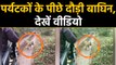 Tiger chases tourist vehicle in Rajasthan’s Sawai Madhopur, Watch video | वनइंडिया हिंदी