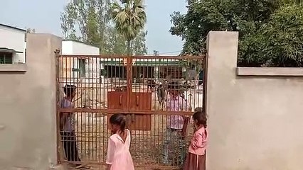 क्यों यूपी के स्कूल में बंद है मवेशी, देखिए ख़बर
